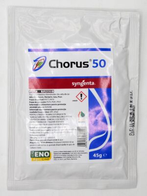 CHORUS 45g